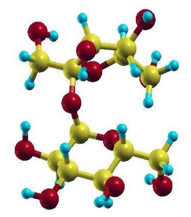 Ball stick representation of the sucrose molecule.